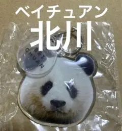 2026年最新】ウエノデパンダの人気アイテム - メルカリ