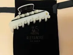 アレクサンドルドゥパリ ヘアクリップ モノトーン パール Lサイズのサムネイル
