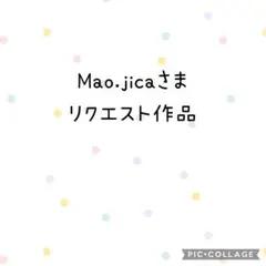 Mao.jicaさまリクエスト作品⭐︎確認