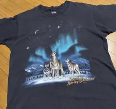 ハーレーダビッドソン　90s tシャツ ヴィンテージ　usa製