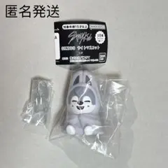 skzoo ライトマスコット・グミ&チャーム 2個セット【ウルフチャン】