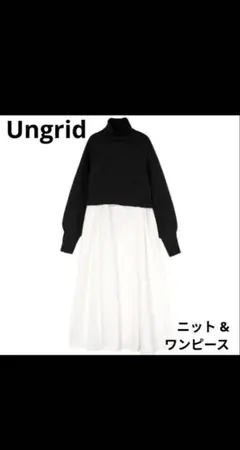 Ungrid ニット & ワンピース タートルネック