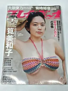 Item thumbnail for item 2baf5bd1-70e1-4dc6-a45f-f80727a3cb36