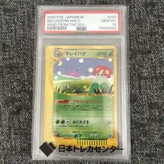 キレイハナ eカード PSA10 ホロ 2025年最新】キレイハナ psa10の人気アイテム - メルカリ