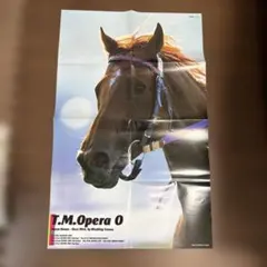 Item thumbnail for item 2c72586a-b7fa-4d05-9bf9-7ab367cf406b