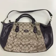 Item thumbnail for item b346c75e-1d8b-4e36-b77d-47d1078c3eb7