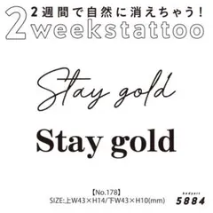 2週間で消える♡ジャグアタトゥーシールのサムネイル