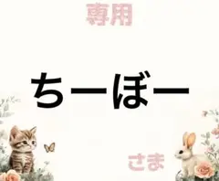 専用