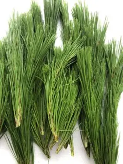 赤魔の新芽箱込み６００g以上のサムネイル