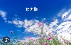 同梱発送 5%off