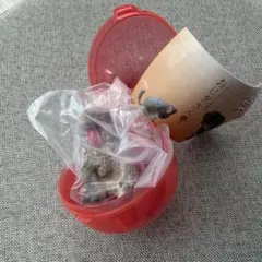 おじぎさん4礼 ニホンザル