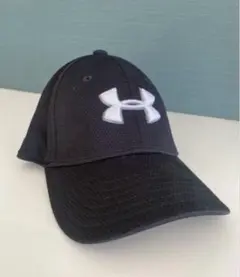 Item thumbnail for item ca87ed73-3539-43bf-9c78-83da315c4e91