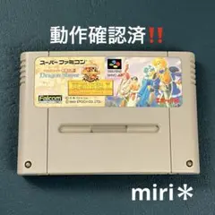2025年最新】ドラゴンスレイヤー英雄伝説 スーパーファミコンの