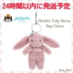 廃盤　新品　ジェリーキャット　バニー　うさぎ　キーホルダー　チャーム　ブラッシュ 廃盤 新品 ジェリーキャット バニー うさぎ キーホルダー チャーム