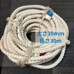 Item thumbnail for item 700fdbe6-605e-4c57-881c-78bd9894aed2