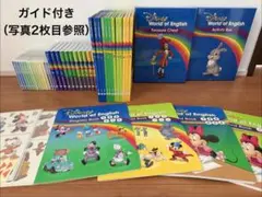 【美品】DWE メインプログラム 最新版