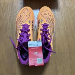 Item thumbnail for item 4a6a46f3-970f-4784-b10c-0077d15a470b