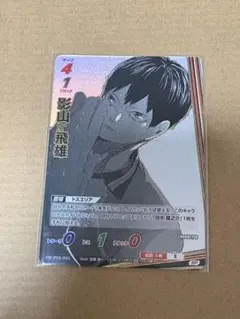 ハイキュー！！　バボカ　影山飛雄　SP 最強の挑戦者