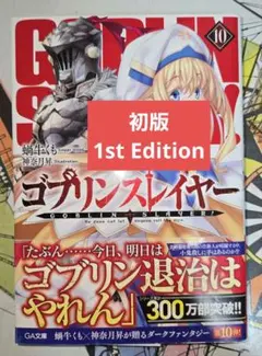 全巻初版帯付き　ゴブリンスレイヤー 全巻セット　20冊 2025年最新】ゴブリンスレイヤー 全巻の人気アイテム - メルカリ
