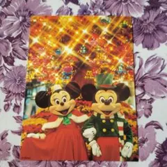 新品 東京ディズニーランド クリスマスミッキー＆ミニーポストカード