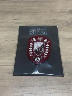 2025年最新】櫻坂46 新せ界 エンブレムの人気アイテム - メルカリ