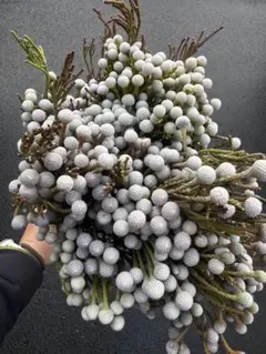 Miyuu【次回発送予定2/11】様 リクエスト 2点 まとめ商品