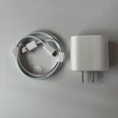新品iPad Air 第五世代 USB-C充電ケーブルUSB-C電源アダプタ