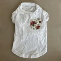 LAURA ASHLEY Sサイズ半袖犬服 花柄ポケットのサムネイル