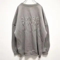 E1859 ANAP スウェット　トレーナー　裏起毛　ビッグロゴ　刺繍　グレー