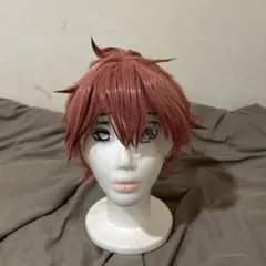 ツイステ エース ウィッグ