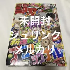 シュリンク付　未開封　アニマルシグナル新連載 週刊少年ジャンプ 2026年28号のサムネイル