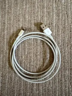 iPhoneUSB充電ケーブル ライトニングコネクタ ホワイト