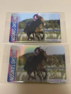 c*a様 サラブレッドホースコレクション メイショウサムソン 2枚セット