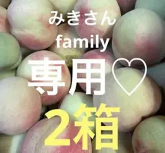17.若桃 摘果桃 加工 桃 山梨県産 約3kg - メルカリ