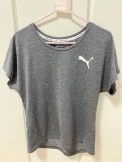 PUMA グレー 半袖Tシャツ KEEPS YOU DRY