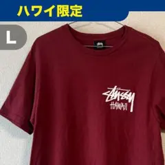 【ハワイ限定】STUSSY ステューシー Tシャツ L バーガンディ メキシコ製のサムネイル