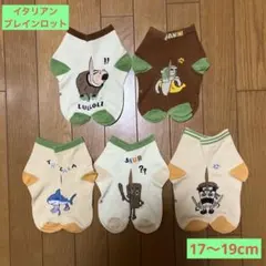 イタリアンブレインロット レッグウェア