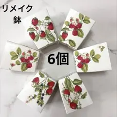 ハンドメイド】リメイク鉢 6個セット デコパージュ 多肉植物 プラ鉢