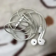 Apple EarPods with Lightning Connector