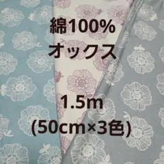 Item thumbnail for item 0afd9a4c-47e0-4ed9-83ee-4fc00b2f884e