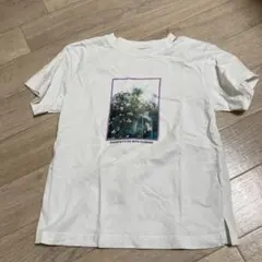 Item thumbnail for item dbe4c604-5834-41a4-8a40-5eaa76674429