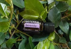 2026年最新】ドテラ セレニティーの人気アイテム - メルカリ