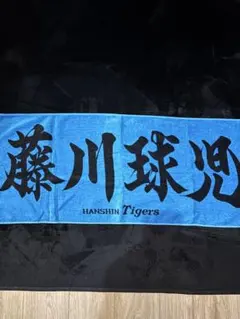 Item thumbnail for item efb9a4cc-dbc9-481f-b479-c8d13a3c853a