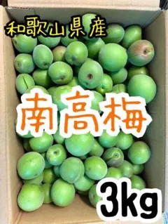 おひさま農園の農薬不使用 青梅 梅3kg - メルカリ