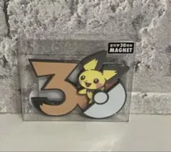 ピカチュウ マグネット 30周年 中国限定 ポケモン - メルカリ