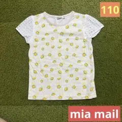 Item thumbnail for item ef84eb54-674c-47db-9d09-b1dc57890702