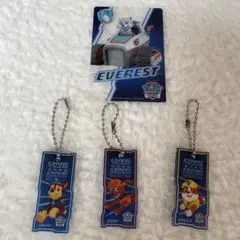 PAW PATROL アクリルキーホルダーセット