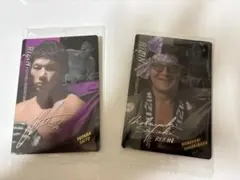 Item thumbnail for item 060d1d4f-78db-4255-80d8-bc18dd8aae12