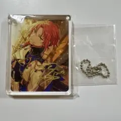 アニカフェ コロッタ レオ