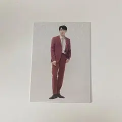 SEVENTEEN BE THE SUN JAPAN トレカ ウォヌ 45